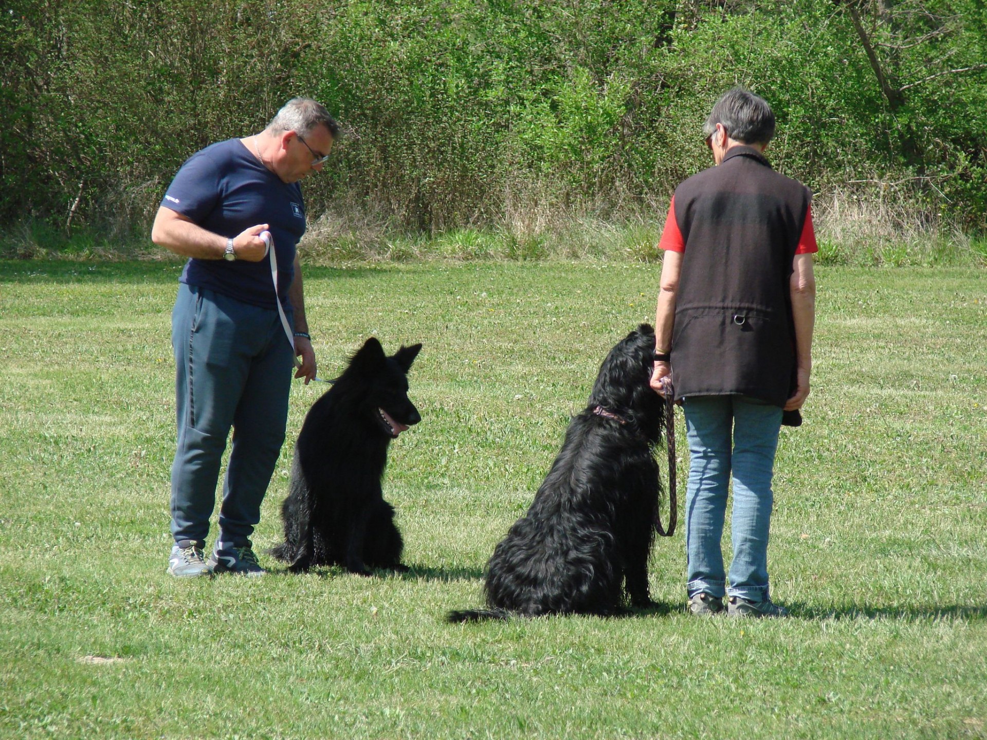 Ottis et Gaia