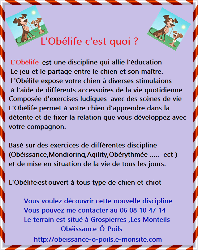 Obelife cest quoi 1