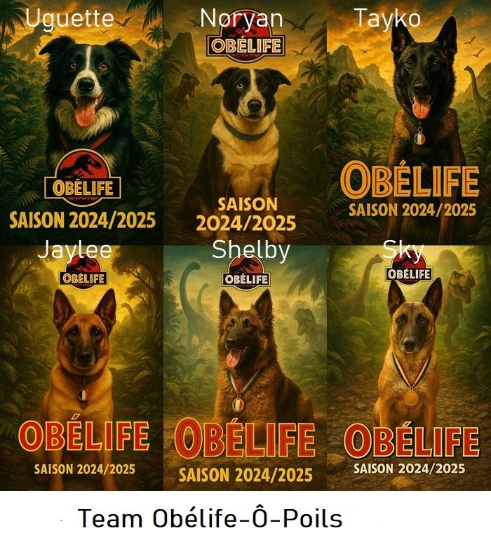 Team obelife o poils